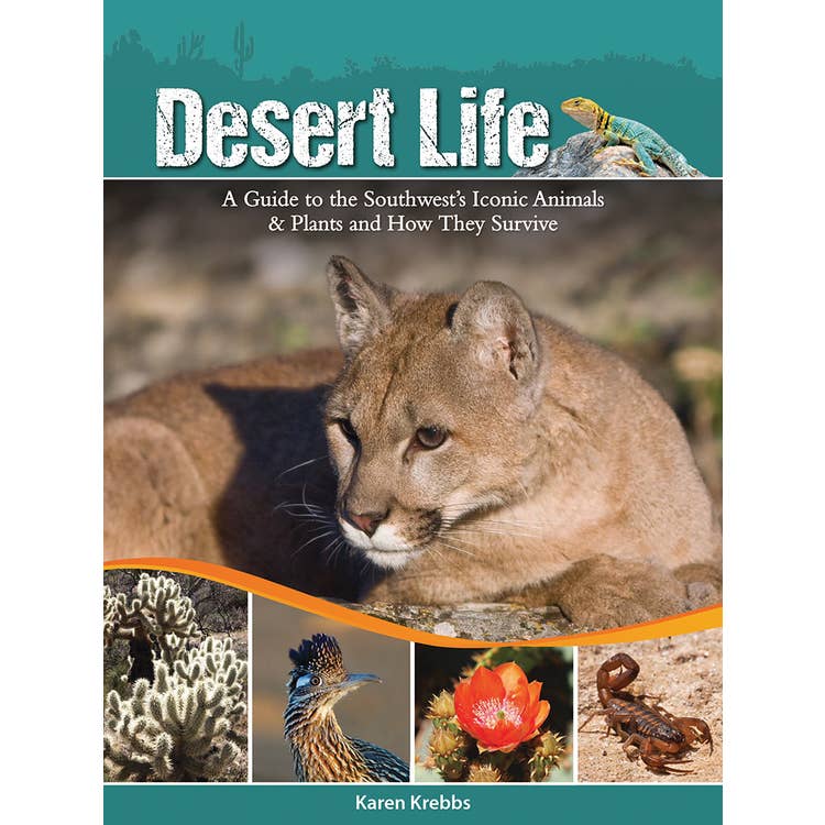 Desert Adventures Non-Fiction Activity Book Set