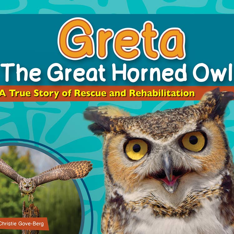 Adventures in Birding Activity Book Set