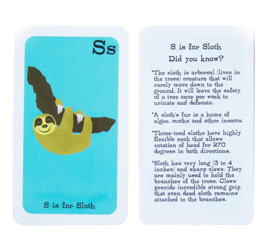 learn ABC alphabet fun flash cards