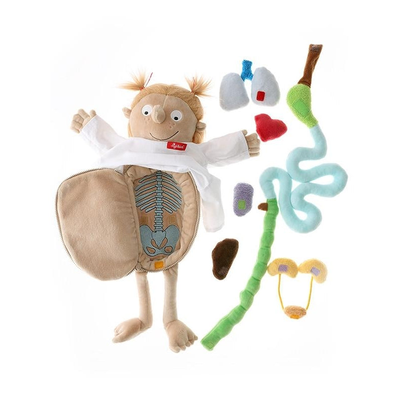Rosi Anatomy Manipulative