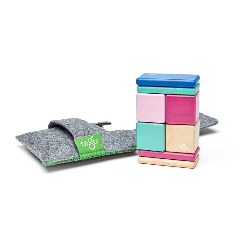 Tegu Pocket Pouch 8pc Blocks