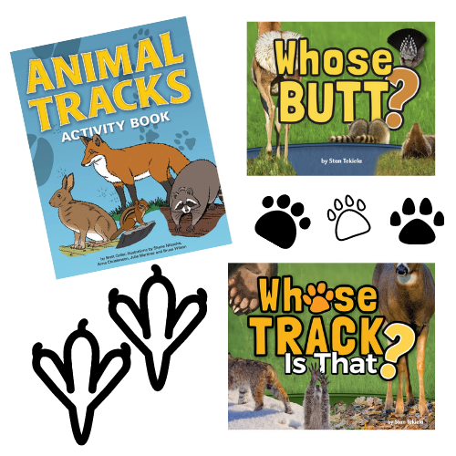 animal tracks