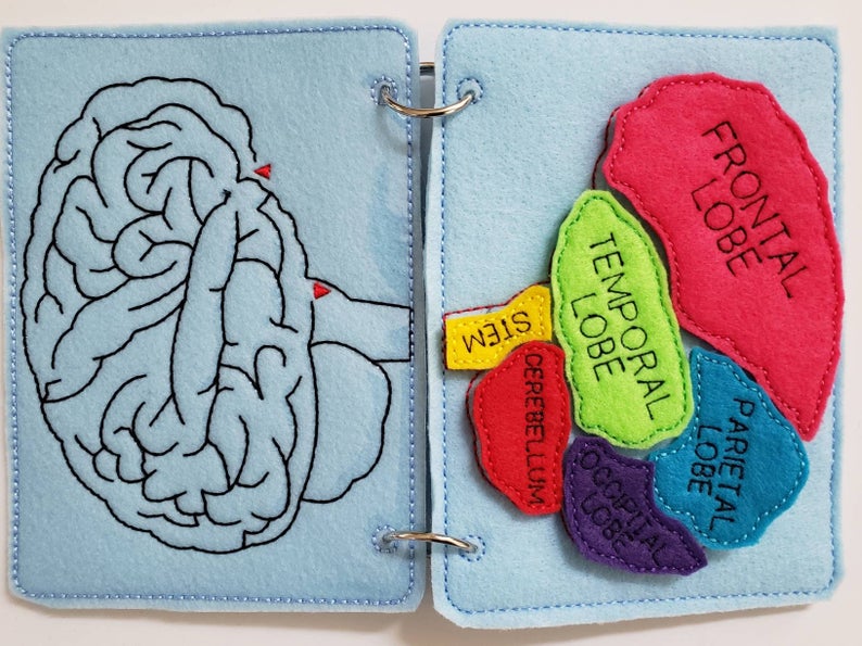 educational busy book pages