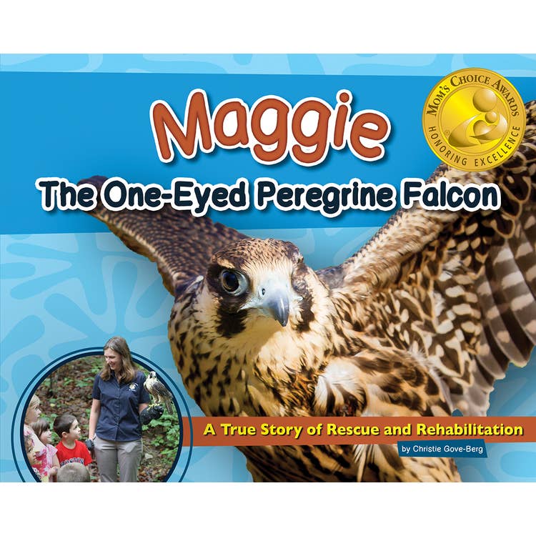 Adventures in Birding Activity Book Set
