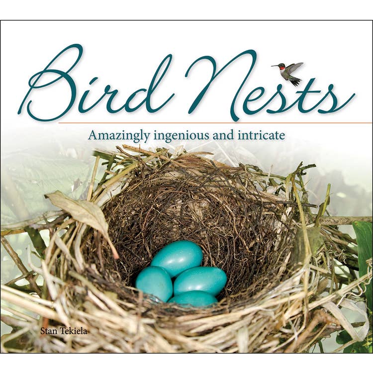 Adventures in Birding Activity Book Set