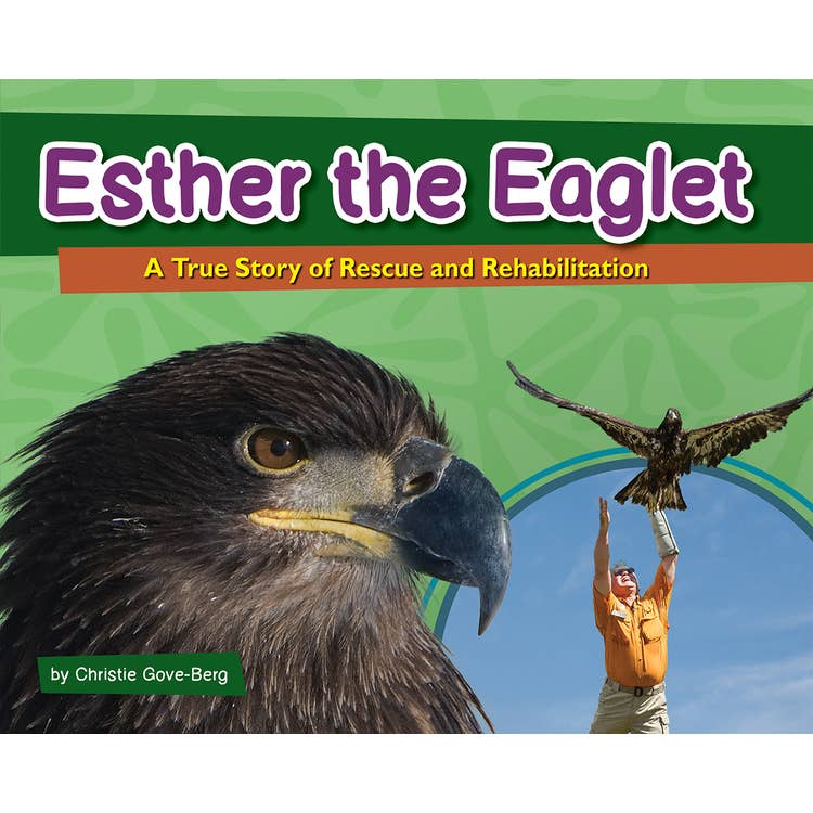 Adventures in Birding Activity Book Set