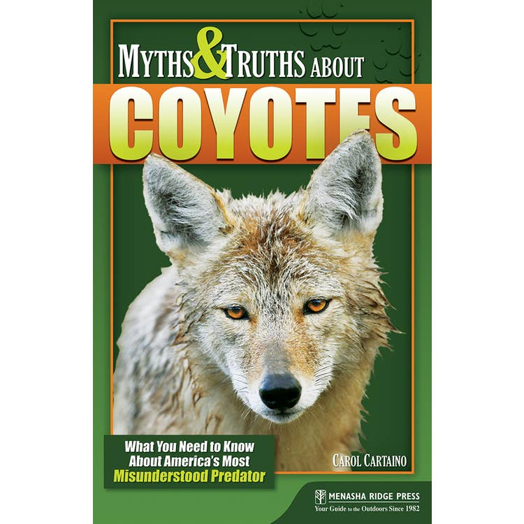 Desert Adventures Non-Fiction Activity Book Set