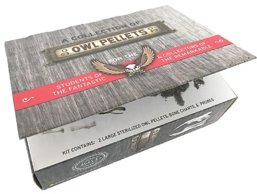 owl pellets science kit