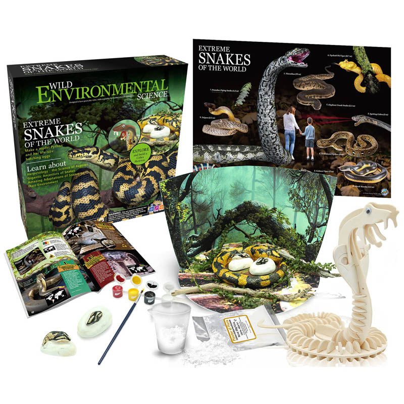 Extreme Science Kit Snakes of The World – The Sensory Site For Kansas KEEP