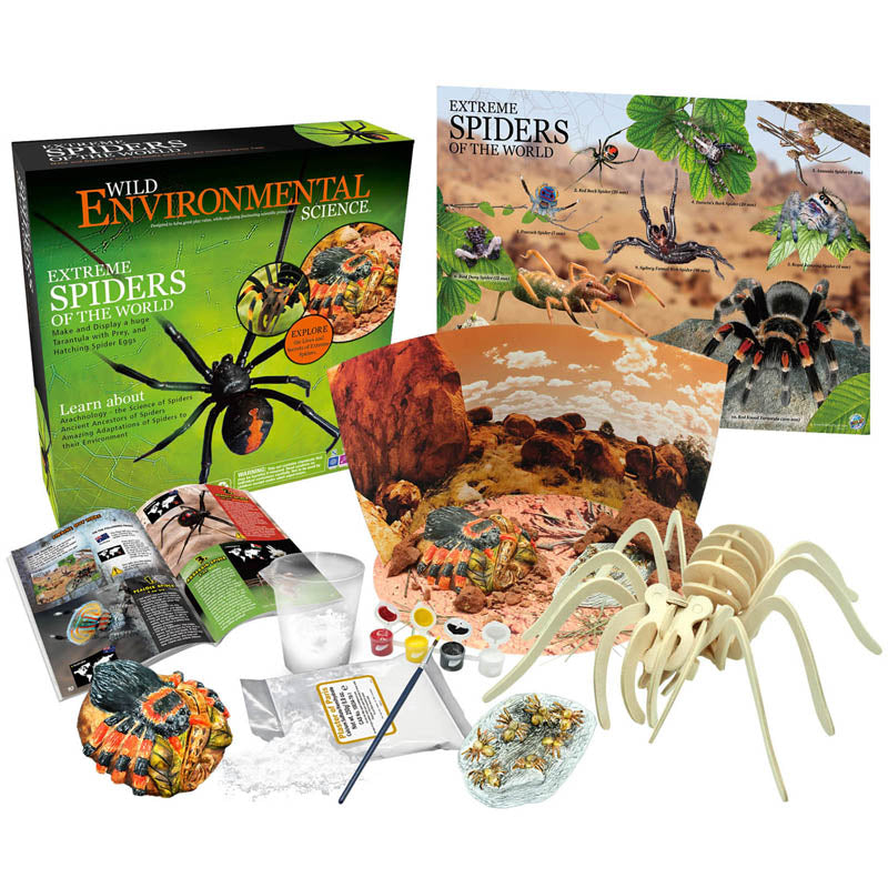 Extreme Spiders of the World Science Kit