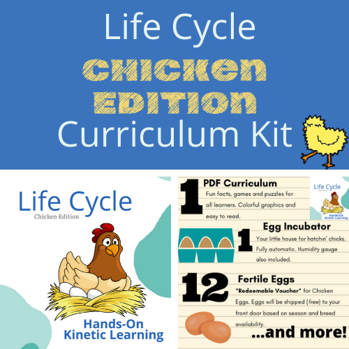 chick hatching educational kit
