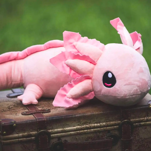 Axolotl Weighted Plush And Book Set – The Sensory Site For Kansas KEEP